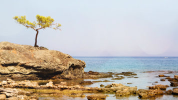 felsen-strand