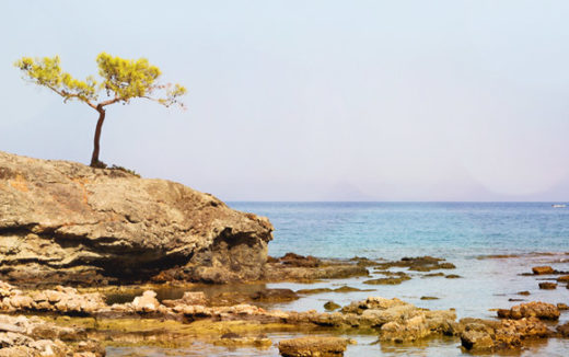 felsen-strand