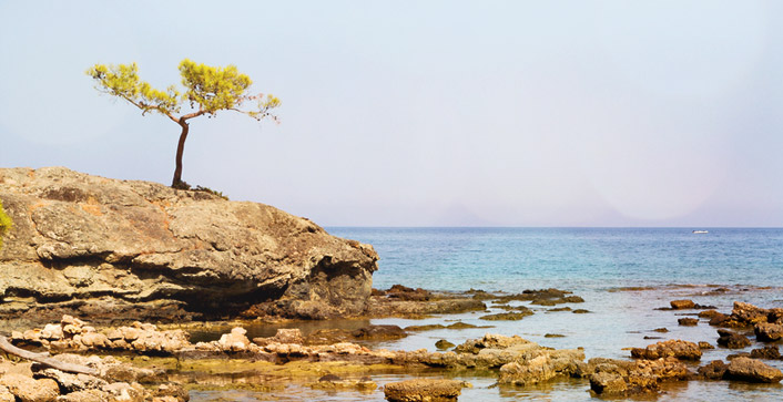 felsen-strand